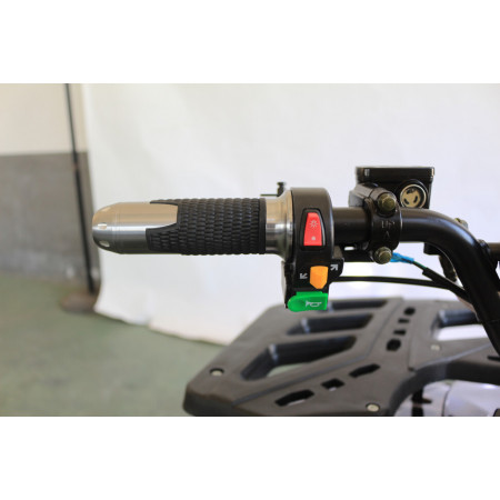 Квадроцикл GreenCamel Атакама T240 (48V 1000W R8 Дифференциал) пониженная
