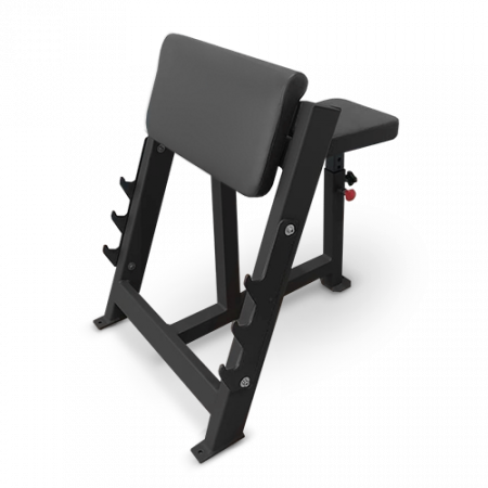 Скамья Скотта Bronze Gym AL-303