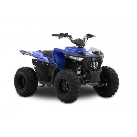 Квадроцикл SHARMAX Cross 200