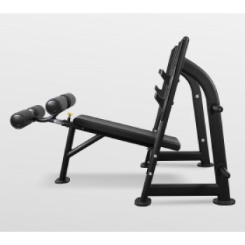 Скамья для жима с отрицательным наклоном Bronze Gym BR-1013