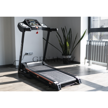 Беговая дорожка Genau TR50