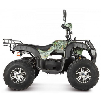 Электроквадроцикл Voltrix Raider 60V2000W