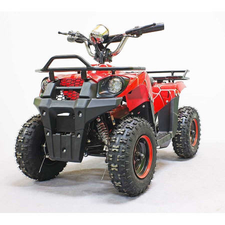 Квадроцикл GreenCamel Гоби K40 (36V 800W R6 Цепь) быстросъем