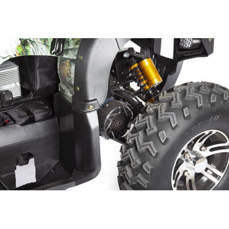 Электроквадроцикл Voltrix Raider Dual Motor 60V4000W