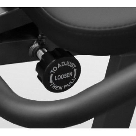 CARBON FITNESS M808