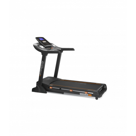 Svensson Body Labs PhysioLine TMX
