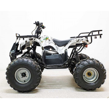 Квадроцикл GreenCamel Атакама T220 (48V 1000W R8 Дифференциал) пониженная