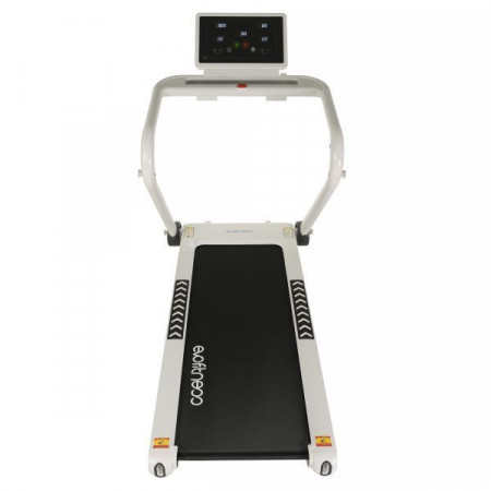 Evo fitness venus