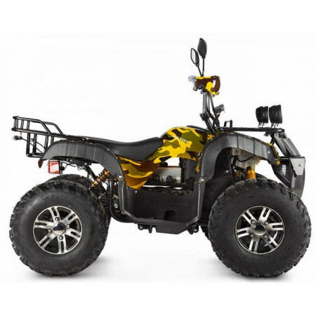 Электроквадроцикл Voltrix Raider 60V2000W