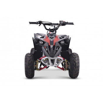 Квадроцикл YACOTA RENEGADE Mini 110
