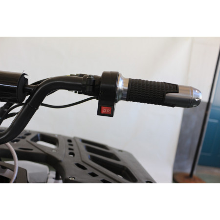 Квадроцикл GreenCamel Атакама T240 (48V 1000W R8 Дифференциал) пониженная