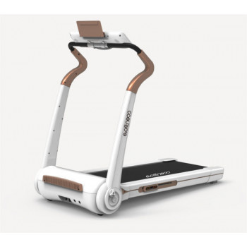 Evo fitness cosmo 5