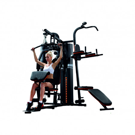 Altezani Gym 001 Силовая станция