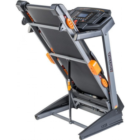 VictoryFit VF-2064