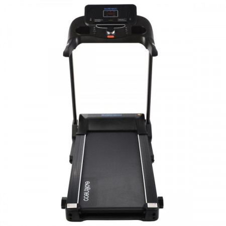 Evo fitness prime