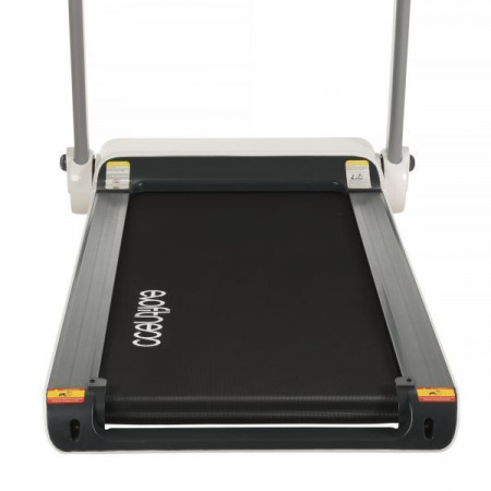 Evo fitness delta