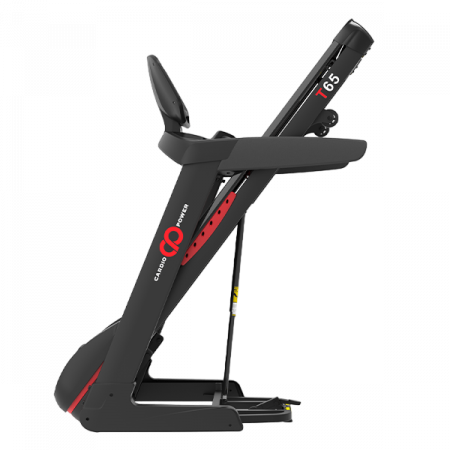 Беговая дорожка CardioPower T65
