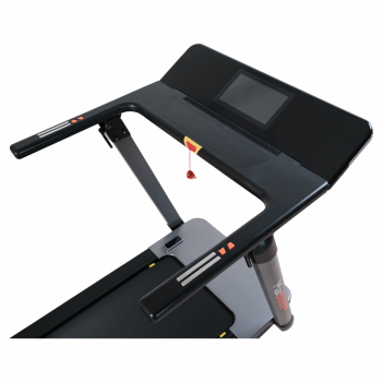 Беговая дорожка Ergonova MaxBurn Pro